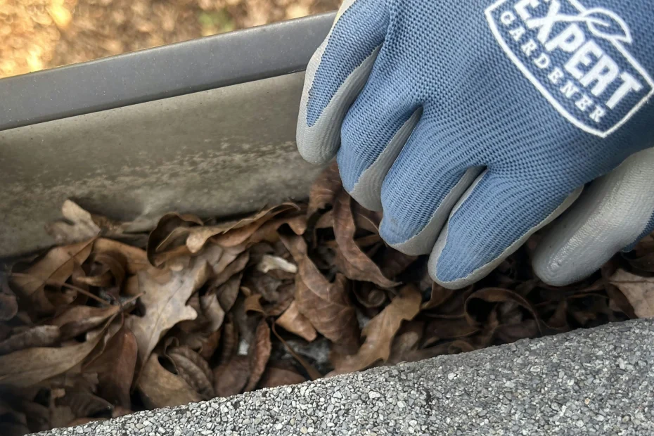 Gutter Cleaning Clifton