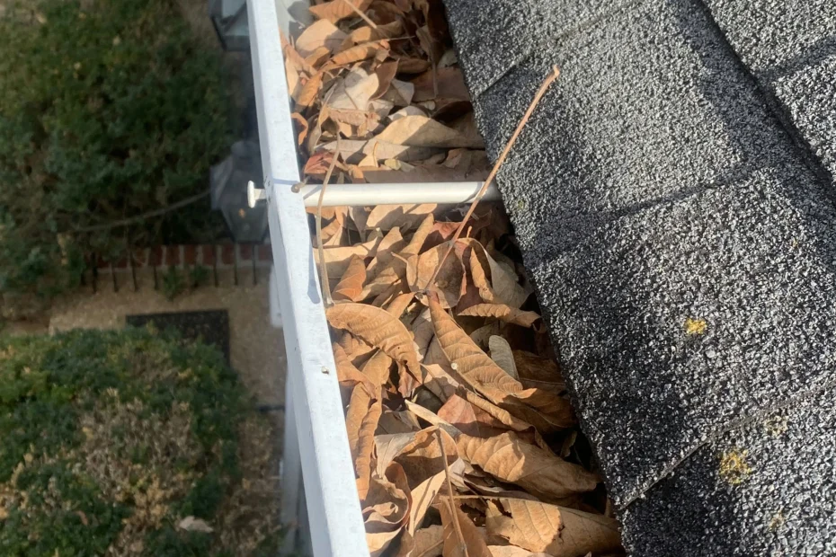 Gutter Cleaning Clifton