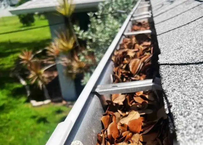 Gutter Cleaning Clifton home page